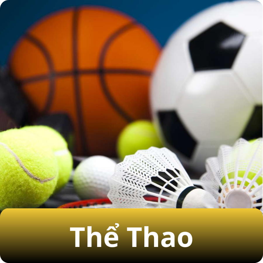 Thể thao ev88